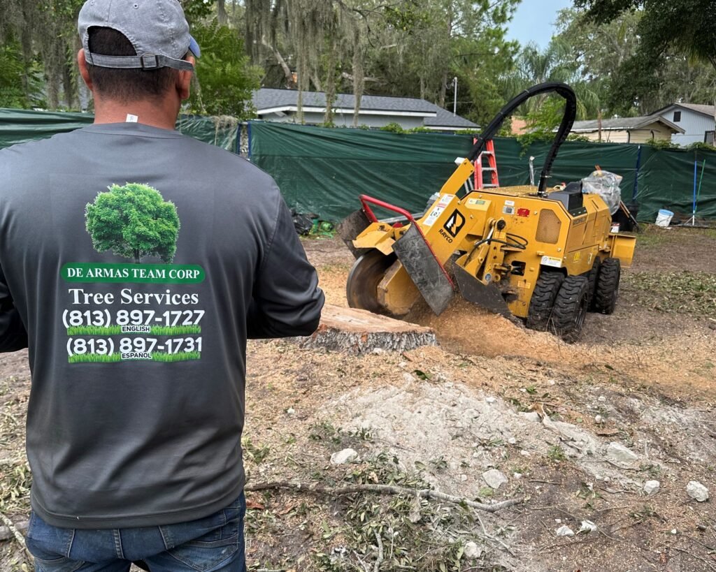 Tree Services